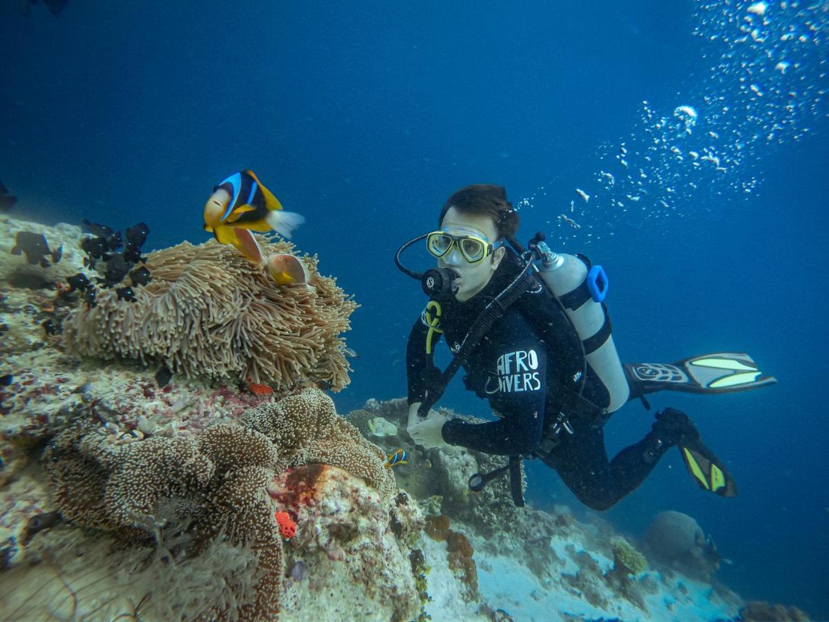 Pemba Paradise Makangale المظهر الخارجي الصورة